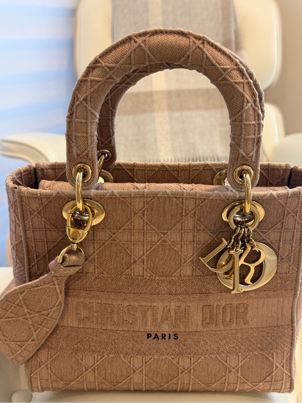Dior Lady Dior Tote in Dusty Pink with Gold Hardware - Picture 6 of 15